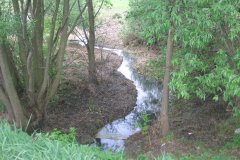 IMG_2905