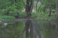 IMG_2910