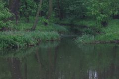 IMG_2912