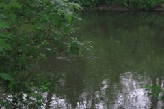 IMG_2913
