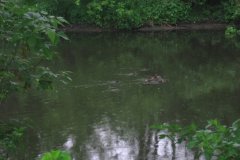 IMG_2914