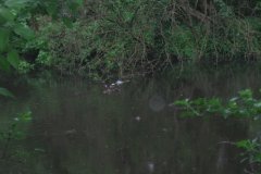 IMG_2915