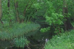 IMG_2919
