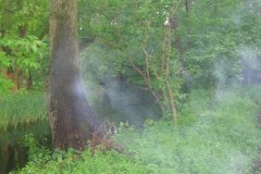 IMG_2921