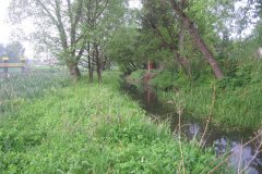 IMG_2938