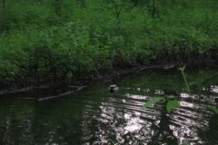 IMG_2956