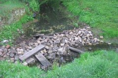 IMG_2957