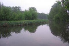 IMG_2962