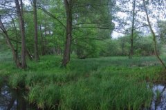 panorama_jeziorka