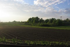 IMG_3025