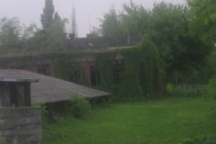 IMG_3471