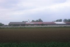 IMG_3516