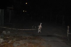 2006.10.26 Miasto nocą