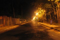 IMG_5379