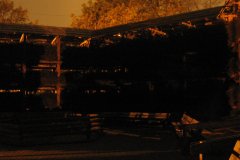 IMG_5410