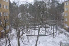 2007.01.24 Grapa