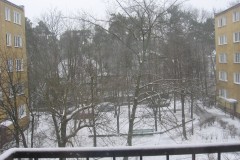 IMG_6312