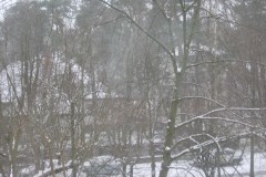 IMG_6313