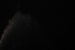 IMG_6361