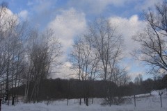 IMG_6400