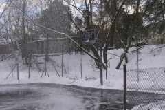 IMG_6401