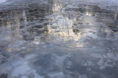 IMG_6406