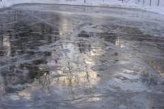 IMG_6407
