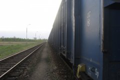 IMG_6782