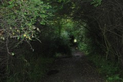 IMG_7095
