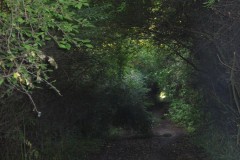 IMG_7096