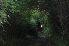 IMG_7097