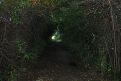 IMG_7099