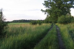 IMG_7104