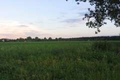 IMG_7108