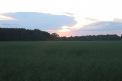 IMG_7119