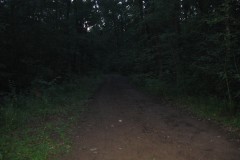 IMG_7127