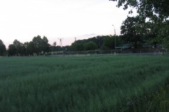 IMG_7118