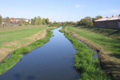 IMG_7853