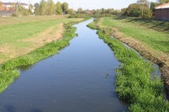 IMG_7854