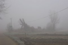 IMG_8177