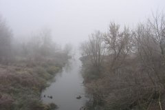 IMG_8179