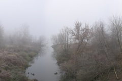 sea_of_mist