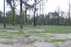 panorama_park
