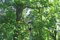 IMG_0132