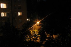 IMG_7211