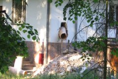 2008.06 Konstancin