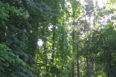 IMG_0170
