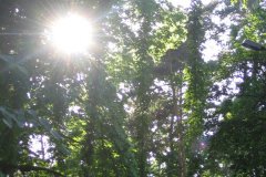 IMG_0171