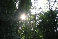 IMG_0172