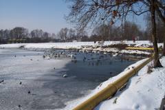 2009.02.14 Zima